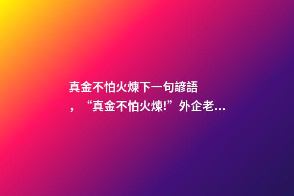 真金不怕火煉下一句諺語，“真金不怕火煉!”外企老總寄語中國經濟-第1張-觀點-玄機派